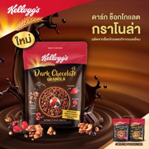 Kelloggs Granola Dark Chocolate 220g
